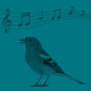 Illustrerad fågel med musiknoter mot blå bakgrund