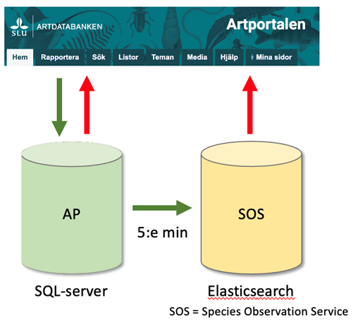 Datavägar mellan SQL-server, Elasticsearch och Artportalen. Illustration