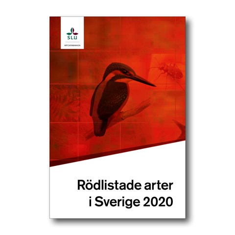 Omslag Rödlista 2020 där fågeln Kungsfiskare är rödtonad mot rött. Grafik
