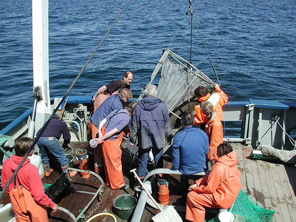 Tiotal människor på akterdäck på forskningsfartyg på öppet hav tittar på trål. Foto