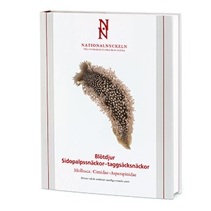 Book cover with brown mollusc on white background. Illustration