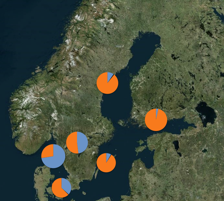 Cirkeldiagrammen visar andelen observerade tretåiga måsar i Sverige och Finland de senaste tio årens höstar. Orange = årsungar av tretåig mås. Blått = adulta. Svart (mycket få individer) = subadulta fåglar (2:a levnadsåret).