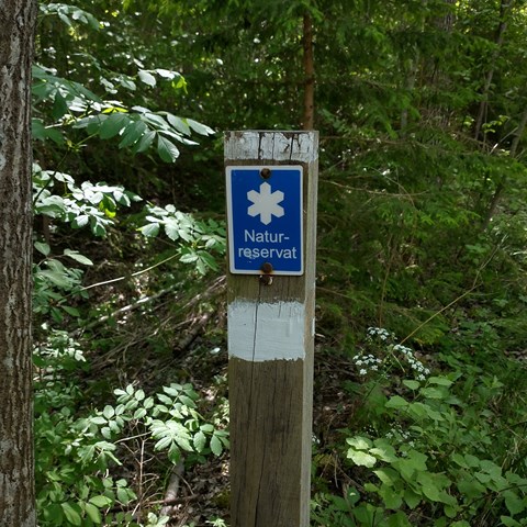 Blå skylt med texten naturreservat sitter på en trästolpe i skogen. Foto