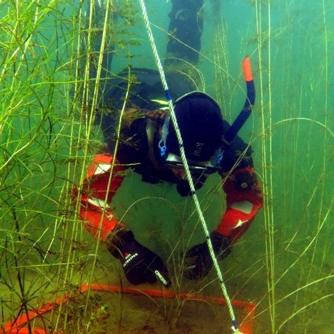 Dykare under vattnet. Foto
