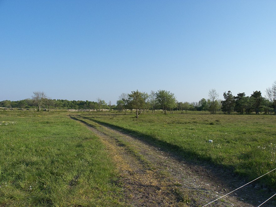 Slingrande grusväg i öppen gräsmark. Foto