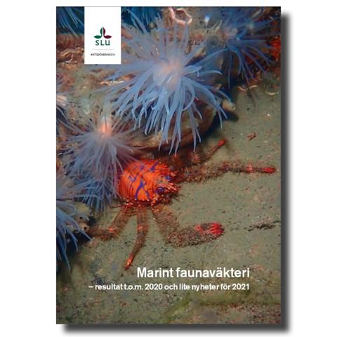 Omslag på broschyr med djur på havsbotten
